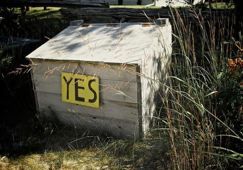 build confidence by saying yes